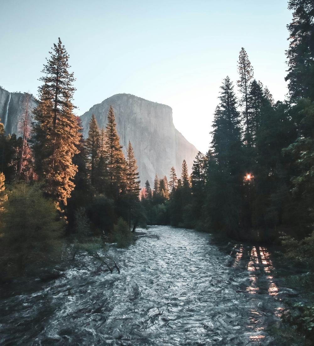 Background for Don’t Be Driven, Just Follow the Shepherd!