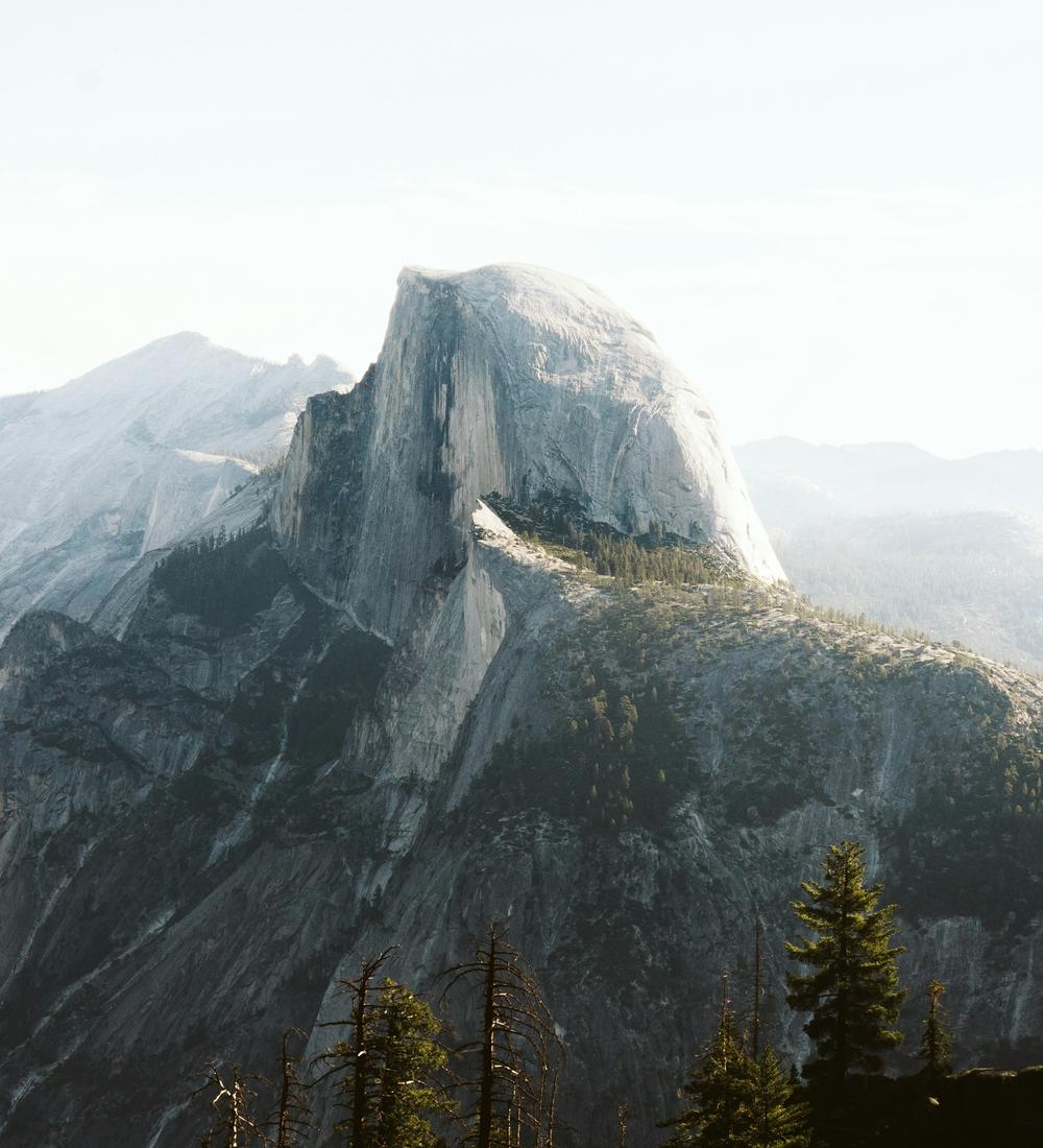 Background for Submitting to Biblical Authority