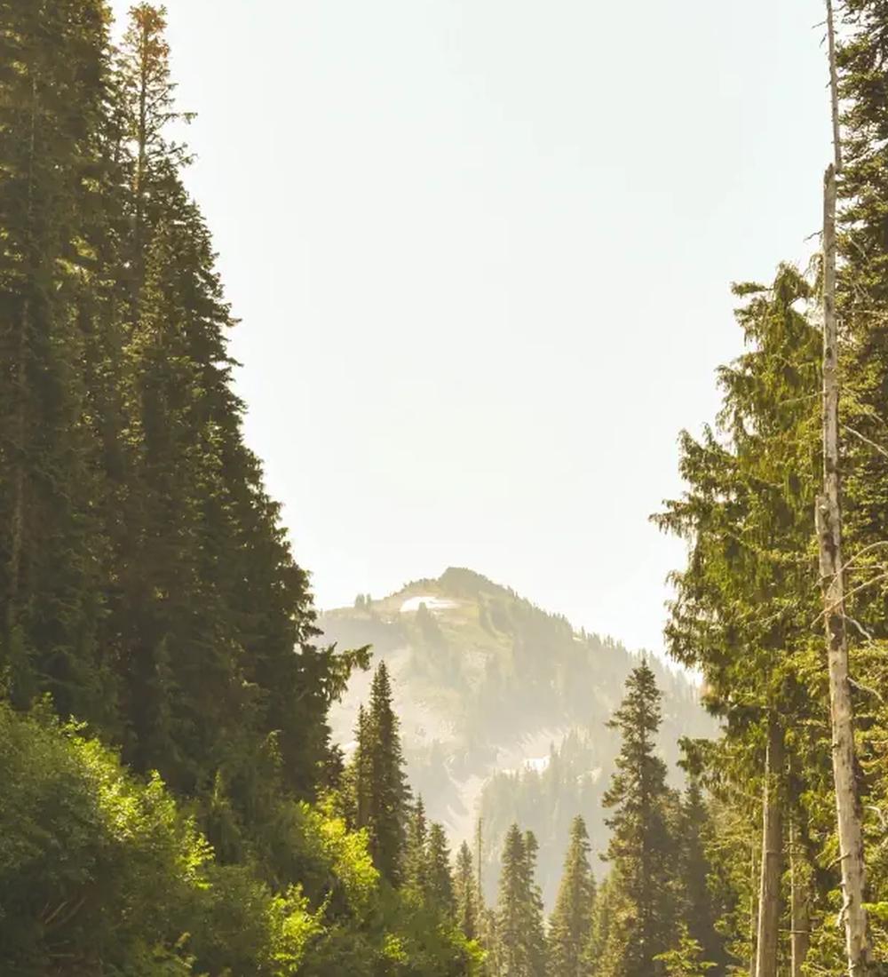 Background for Turn your way His way!