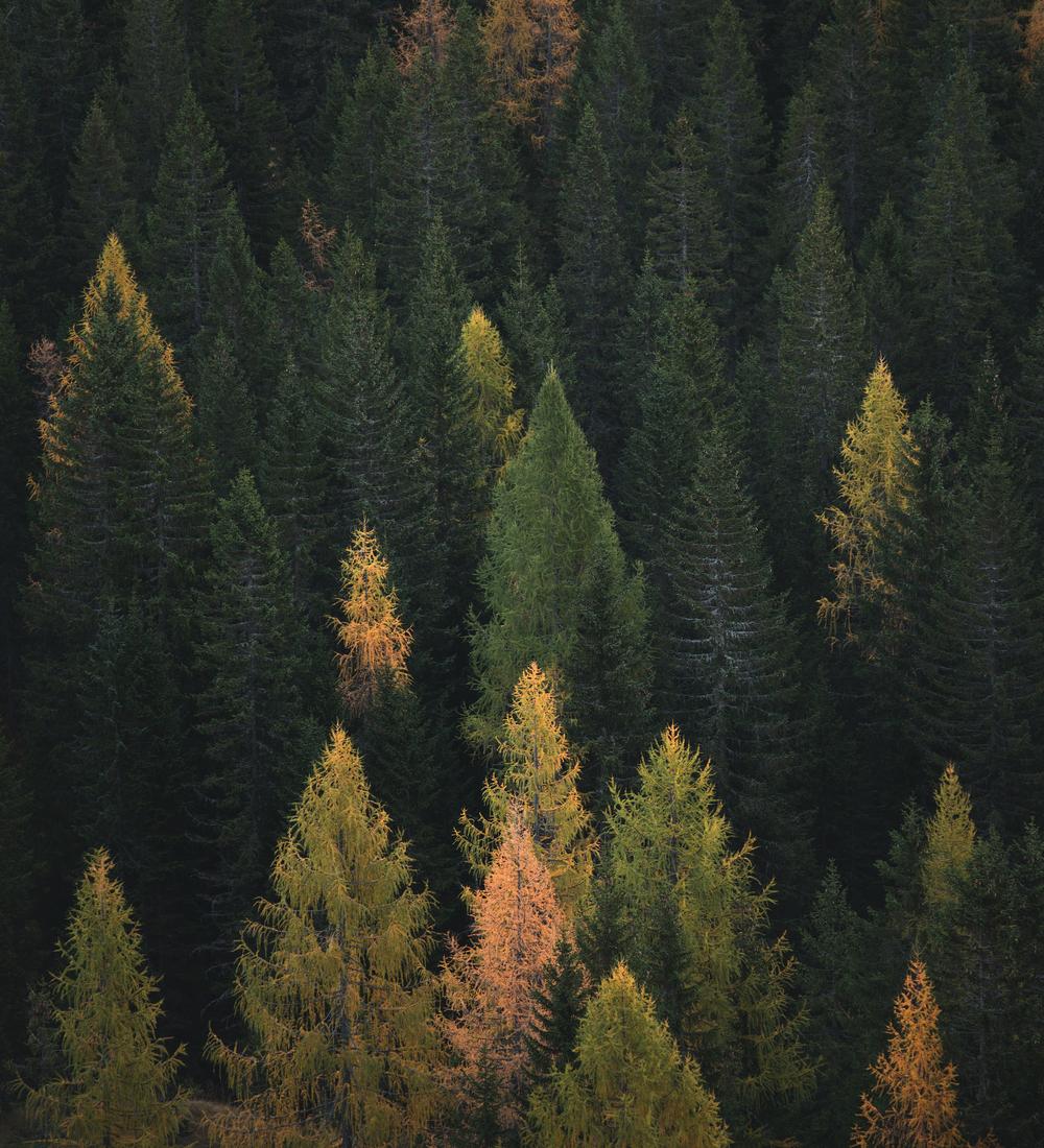Background for From punishment to peace