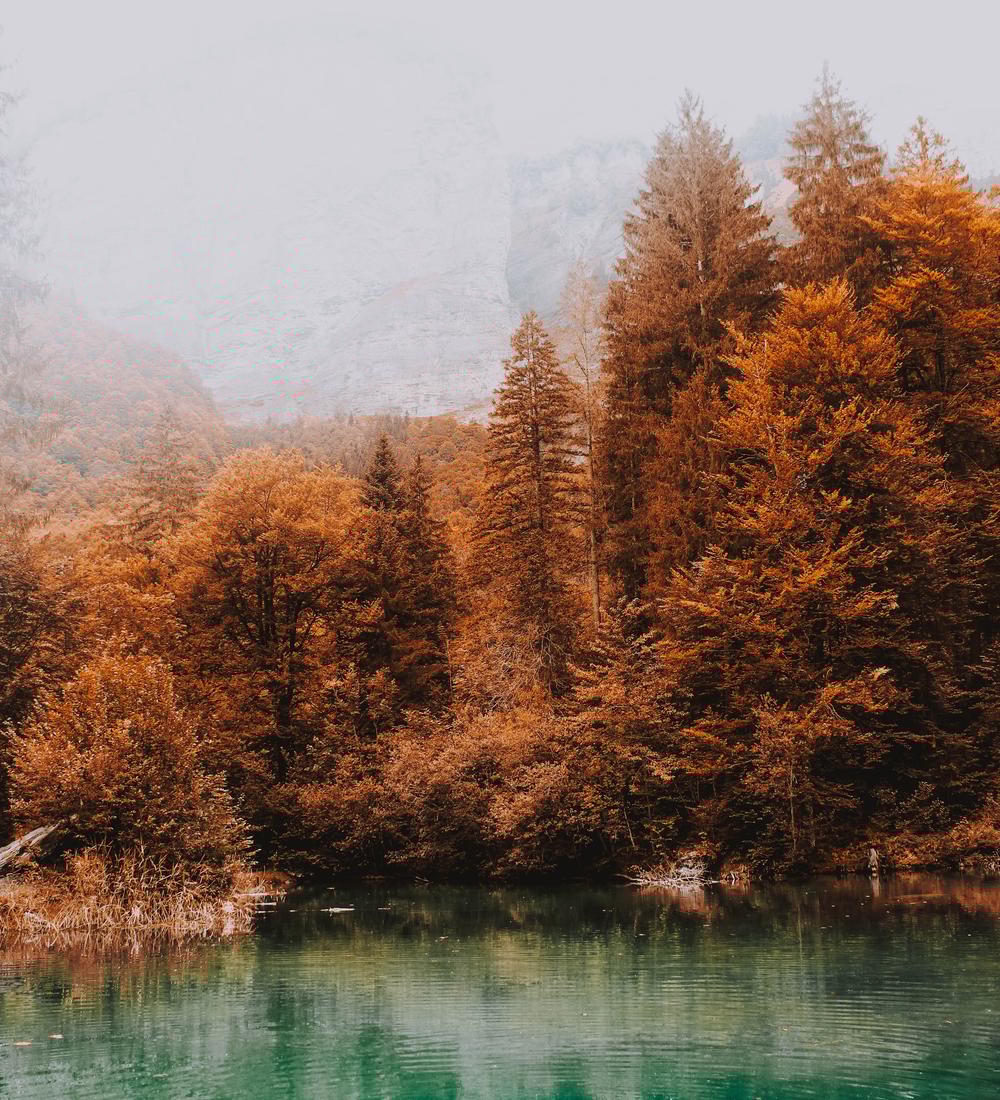 Background for The Decision To Praise