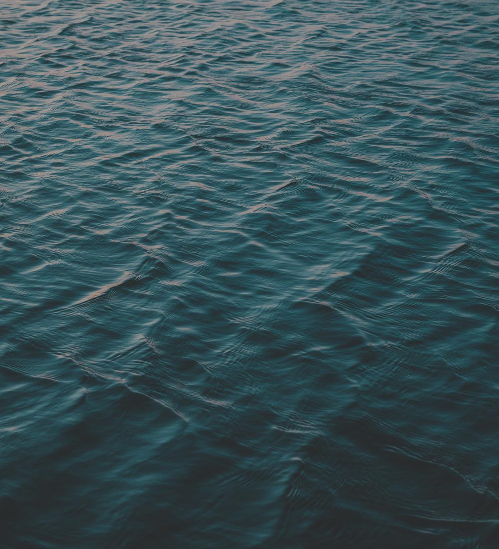 Background for Let His Praise Be Continually In Your Mouth!