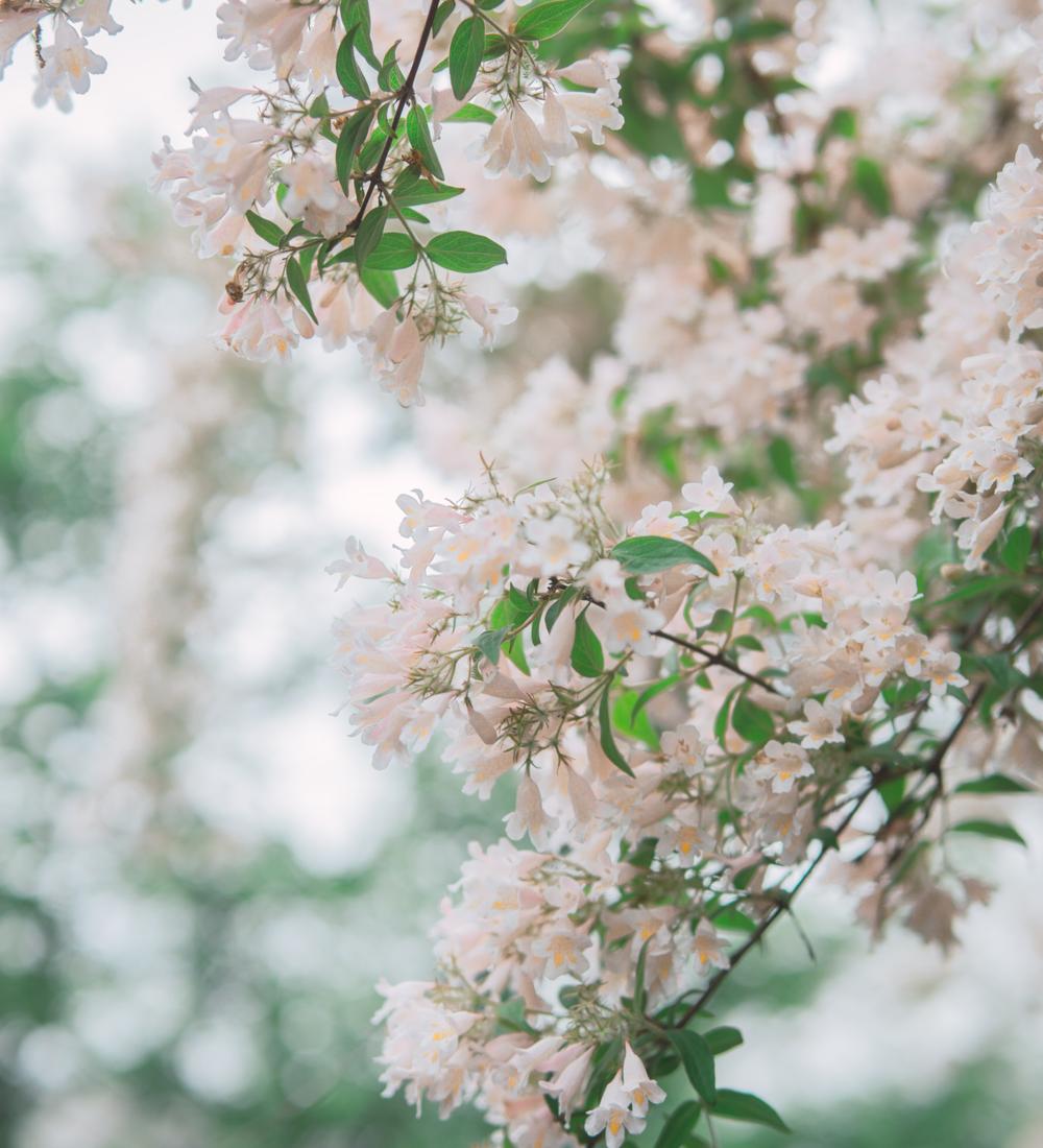 Background for True Repentance Releases The Blessings Of The Father