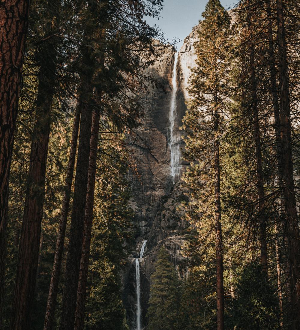 Background for The Way Up Is Down