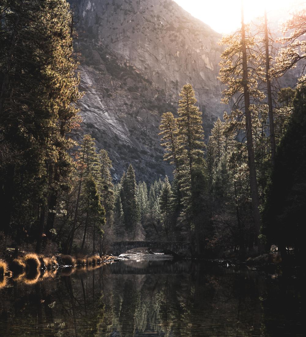 Background for God’s Word: Mirror of the Spirit