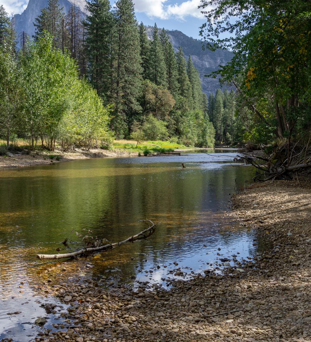 Background for Let God Pray Through You