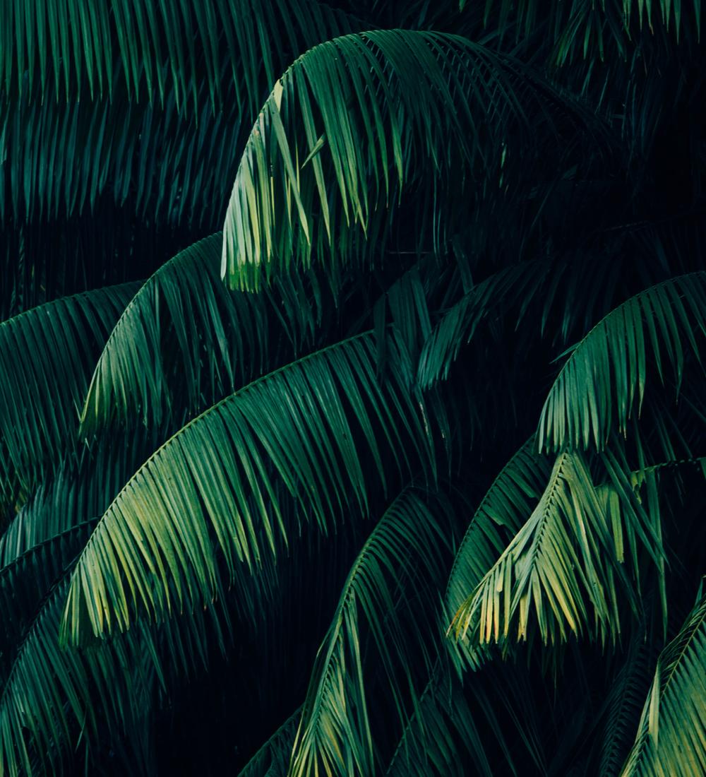 Background for Be Prepared to be Foolish