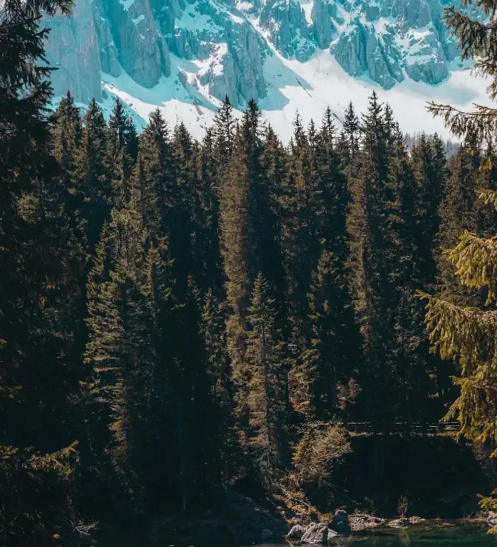 Background for Union with Christ is the Answer