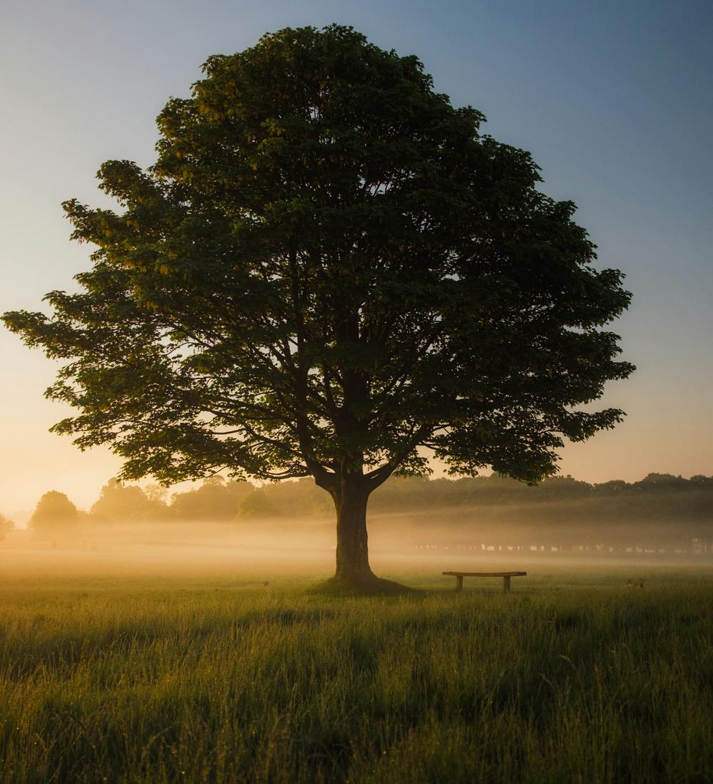 Background for How to Receive God’s Guidance