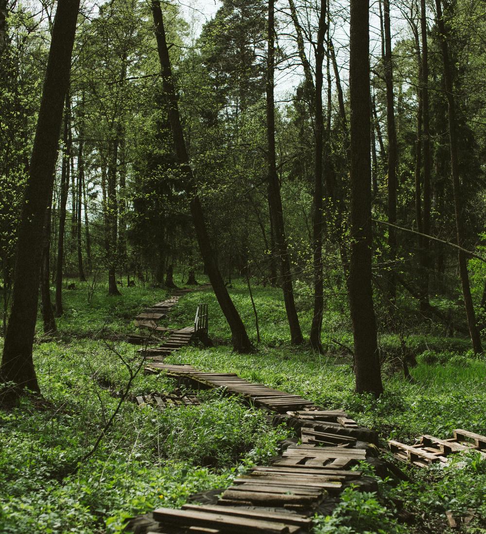 Background for Trusting God in Your Workplace