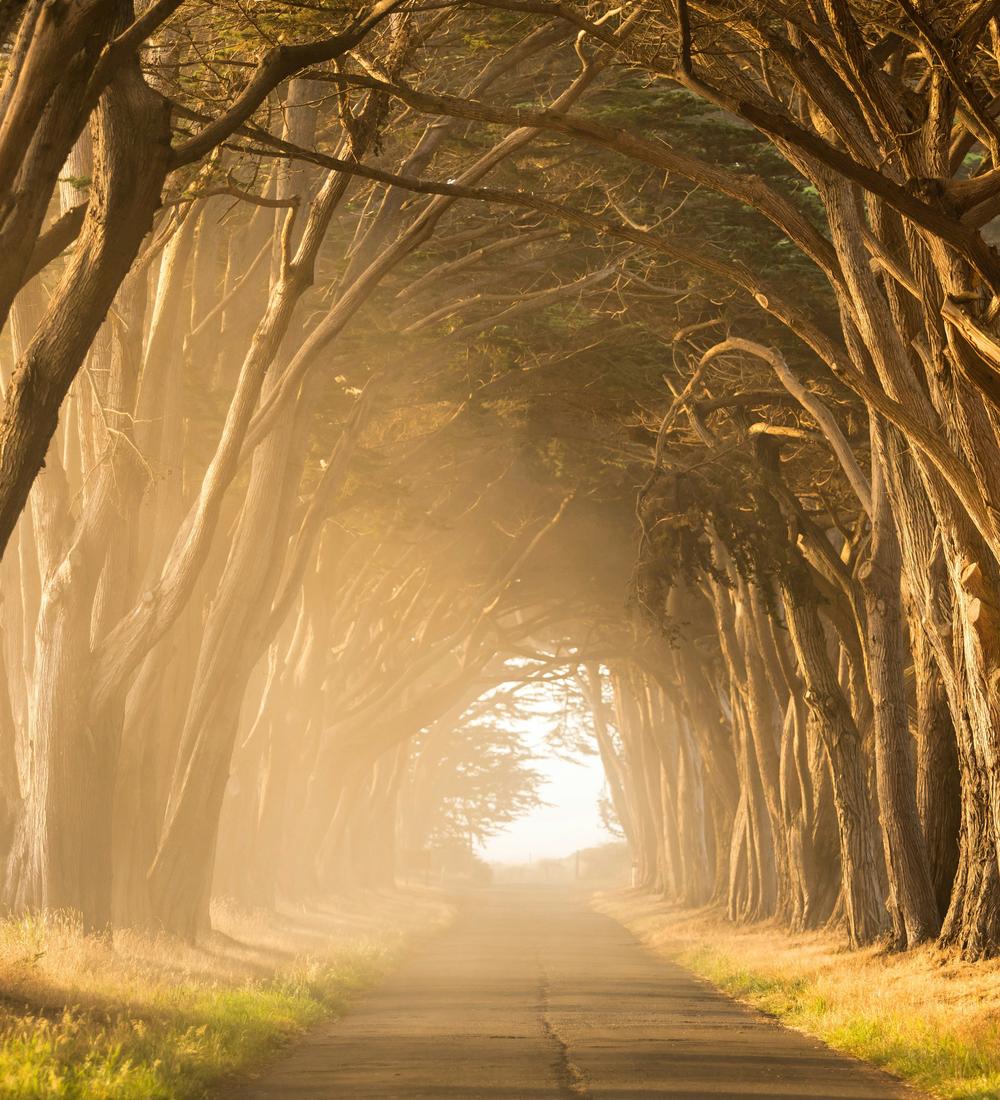 Background for Being Faithful in the Workplace