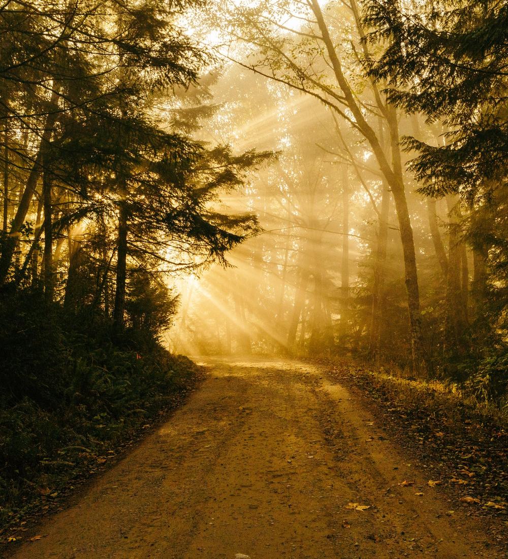 Background for Love: The Second Mile