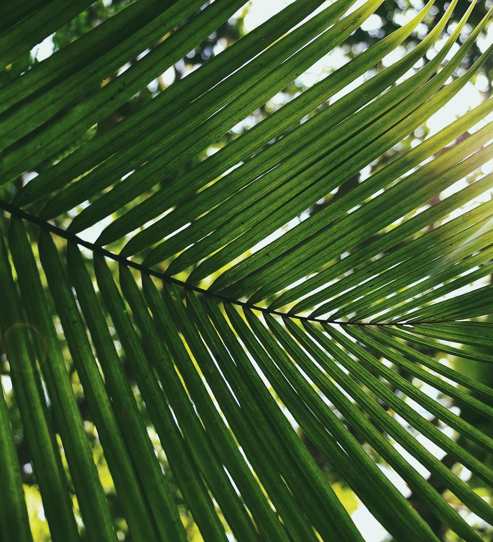 Background for Healing of Rejection