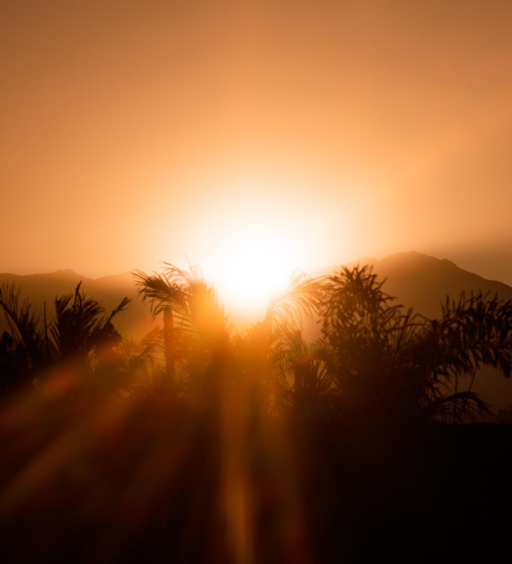 Background for The Lord Delights In Men Who Are Truthful