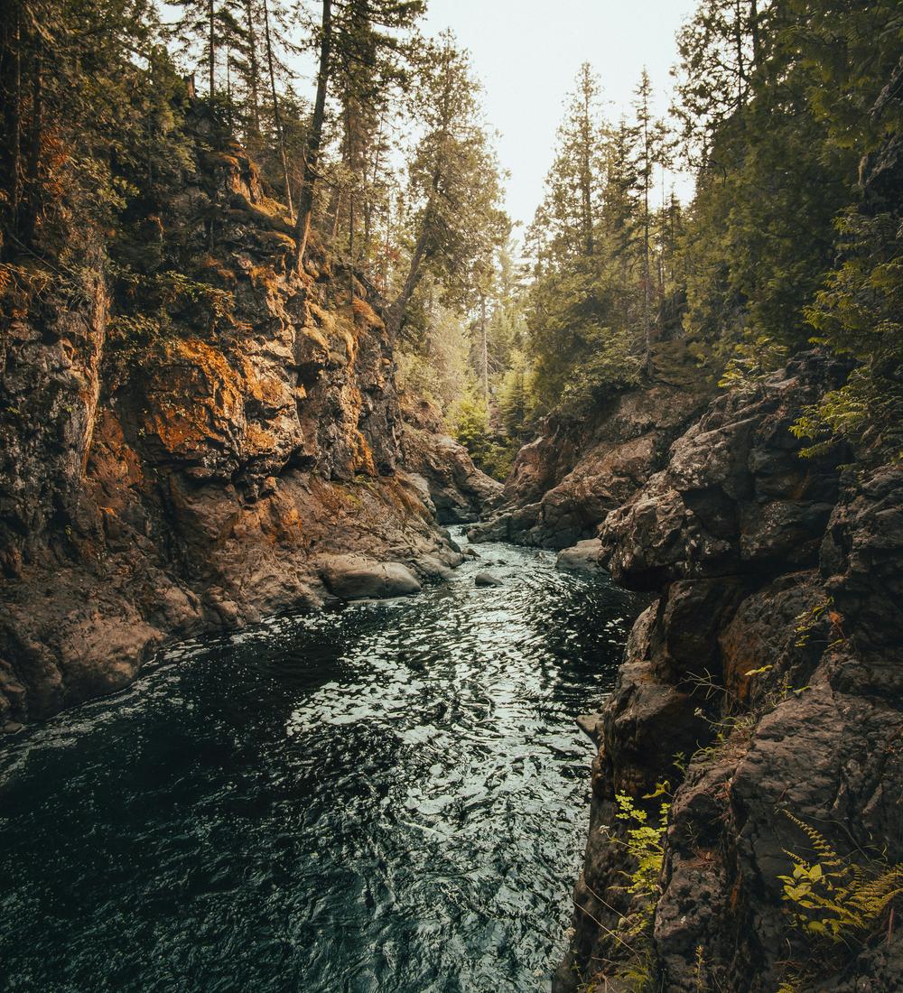 Background for A Supreme Motivation to Do God’s Will