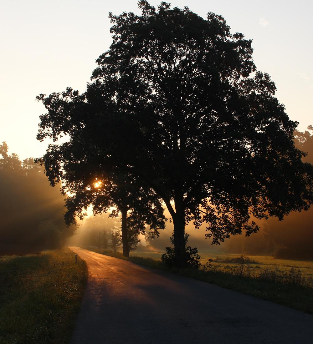 Background for Do you decide to want God’s best?