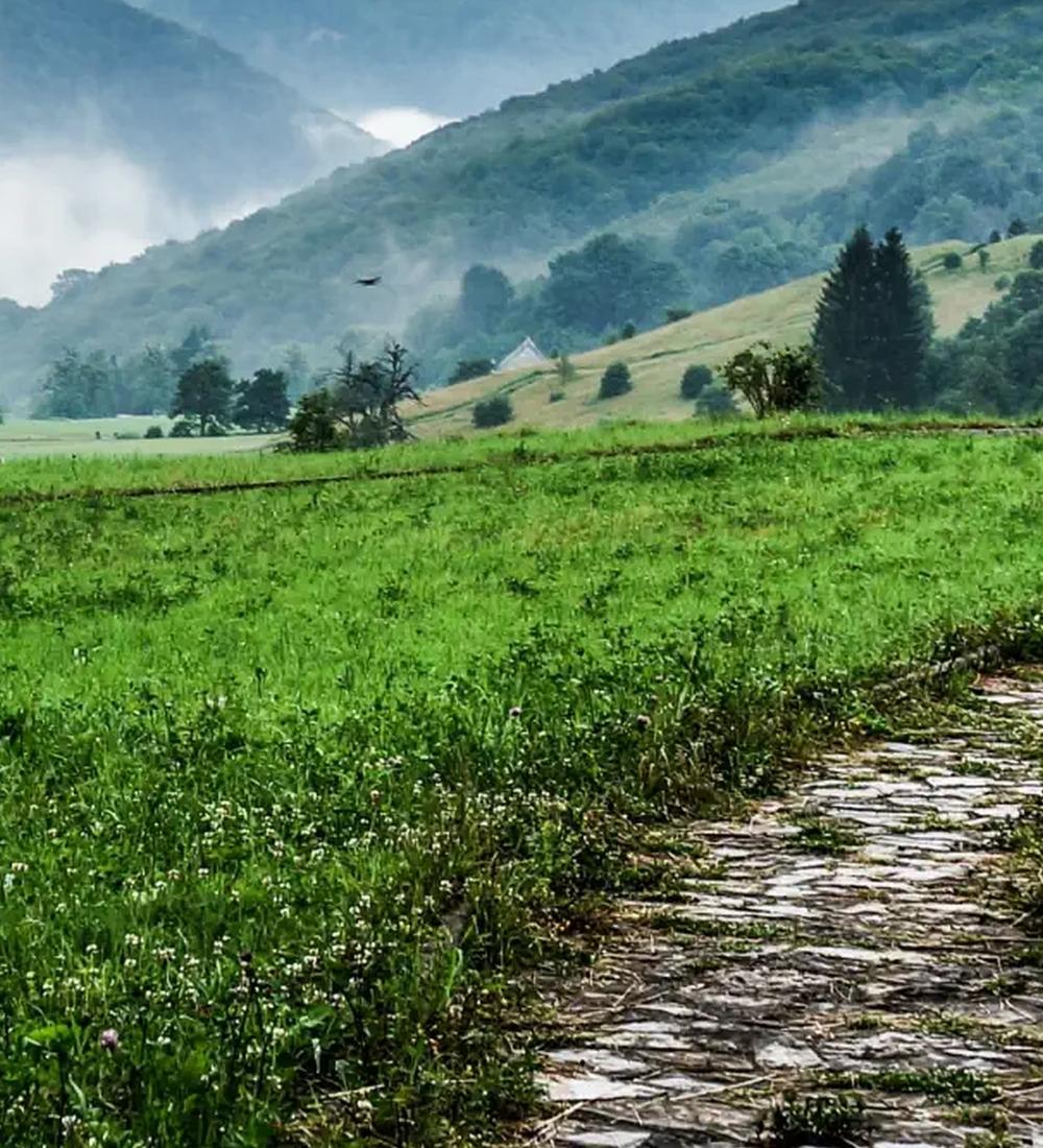 Background for Let Jesus be the focus of your life!