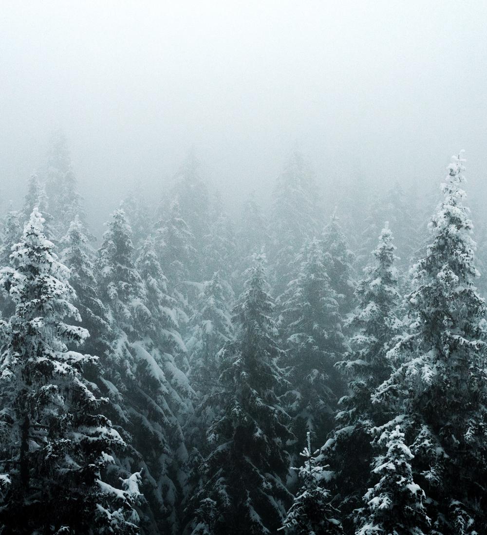 Background for You’re No Orphan Anymore!