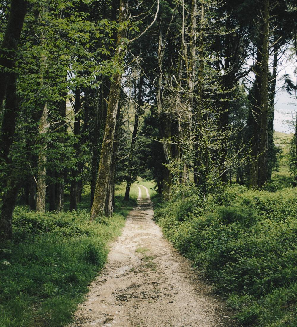 Background for Will you let God choose for you? (Final)
