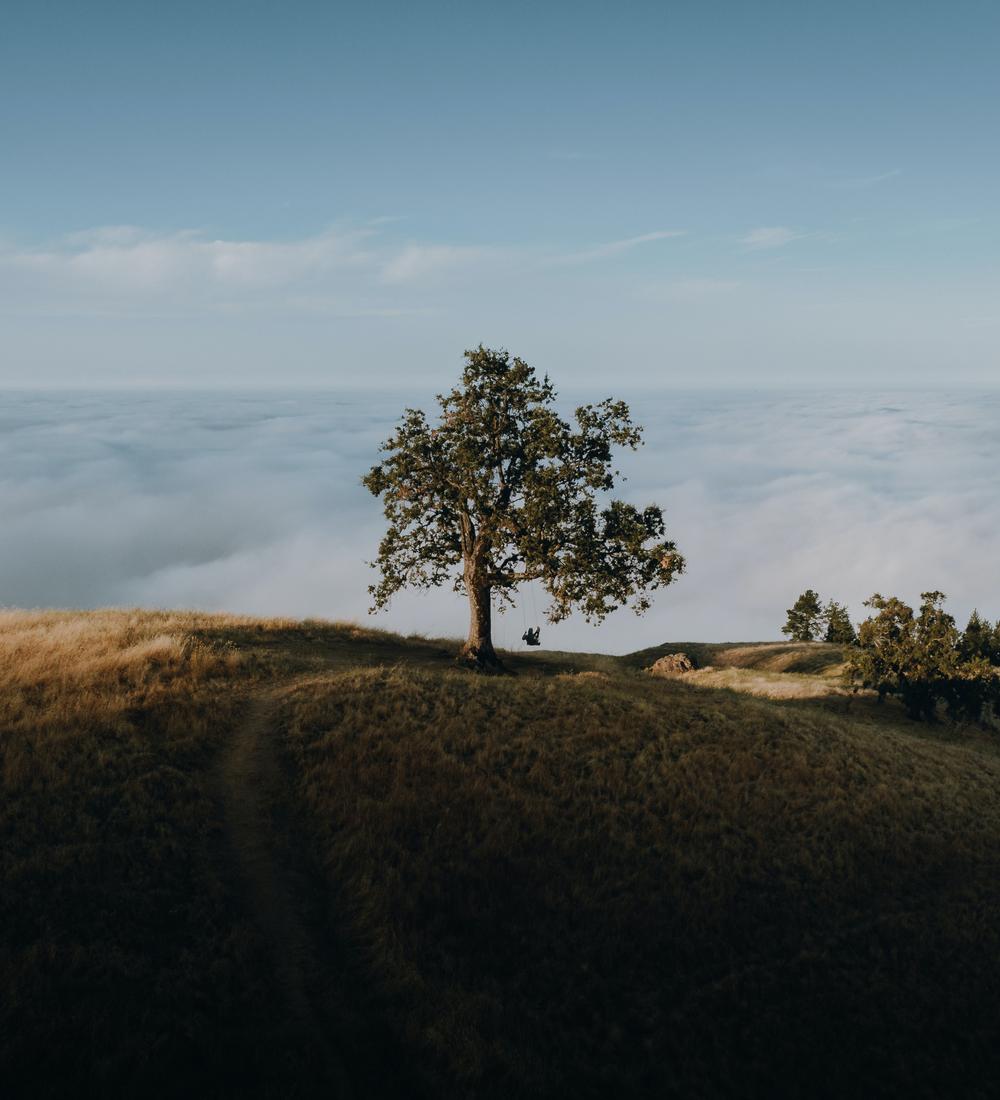 Background for Our Limited Security