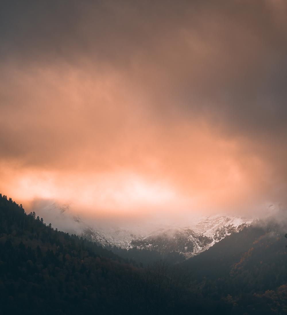 Background for Two Kinds of Guidance