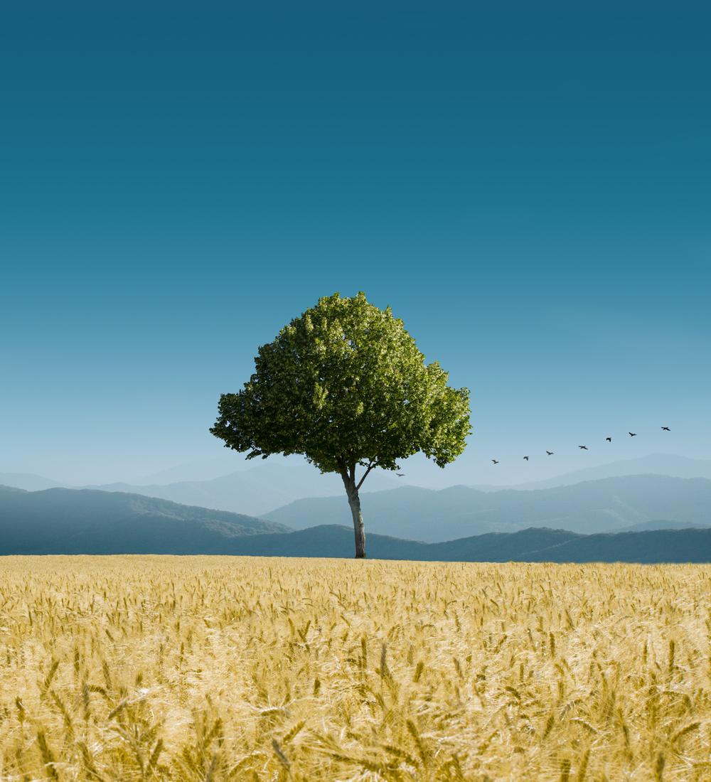 Background for Do Good Things