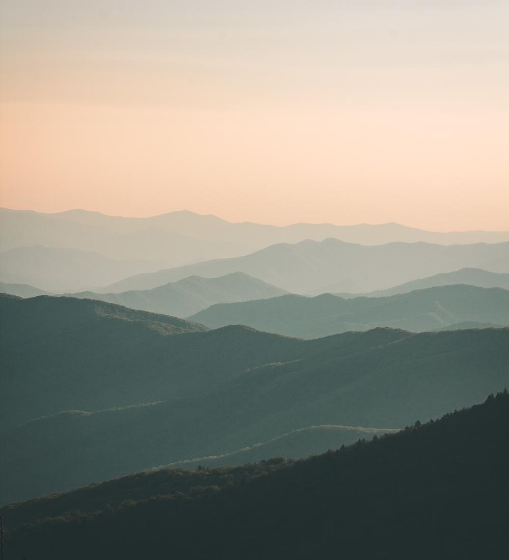 Background for Learn to Discern