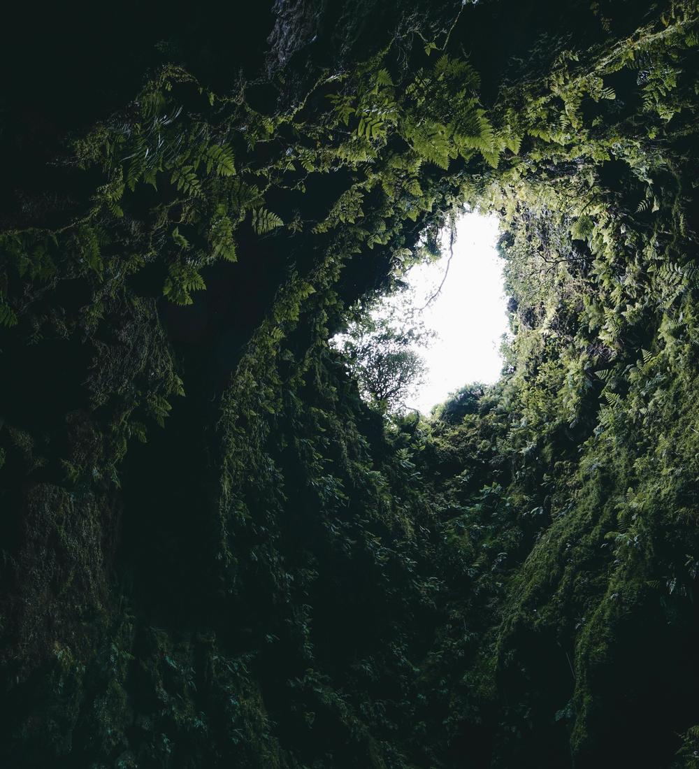 Background for Your Life as a Seed