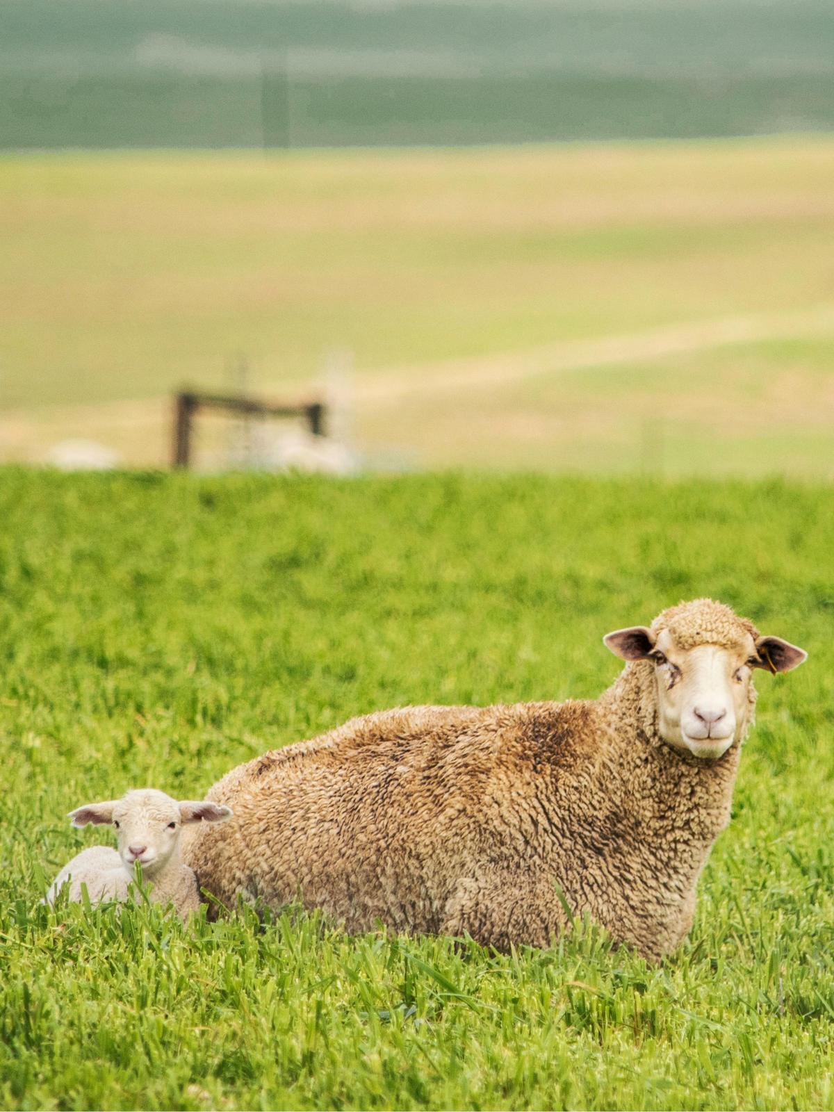 Background for 5 (5 January)