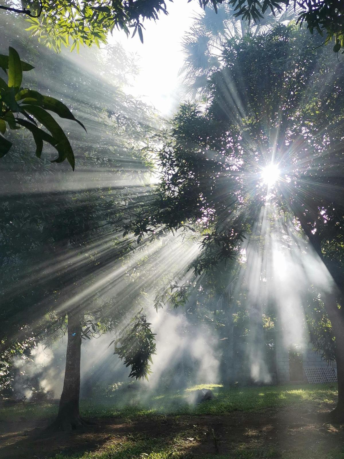 Background for 7 (7 January)