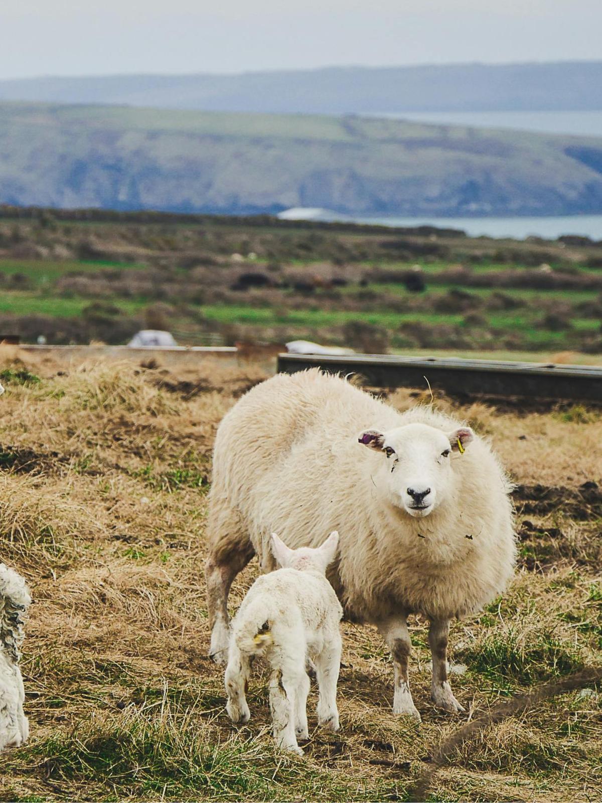 Background for 9 (9 January)