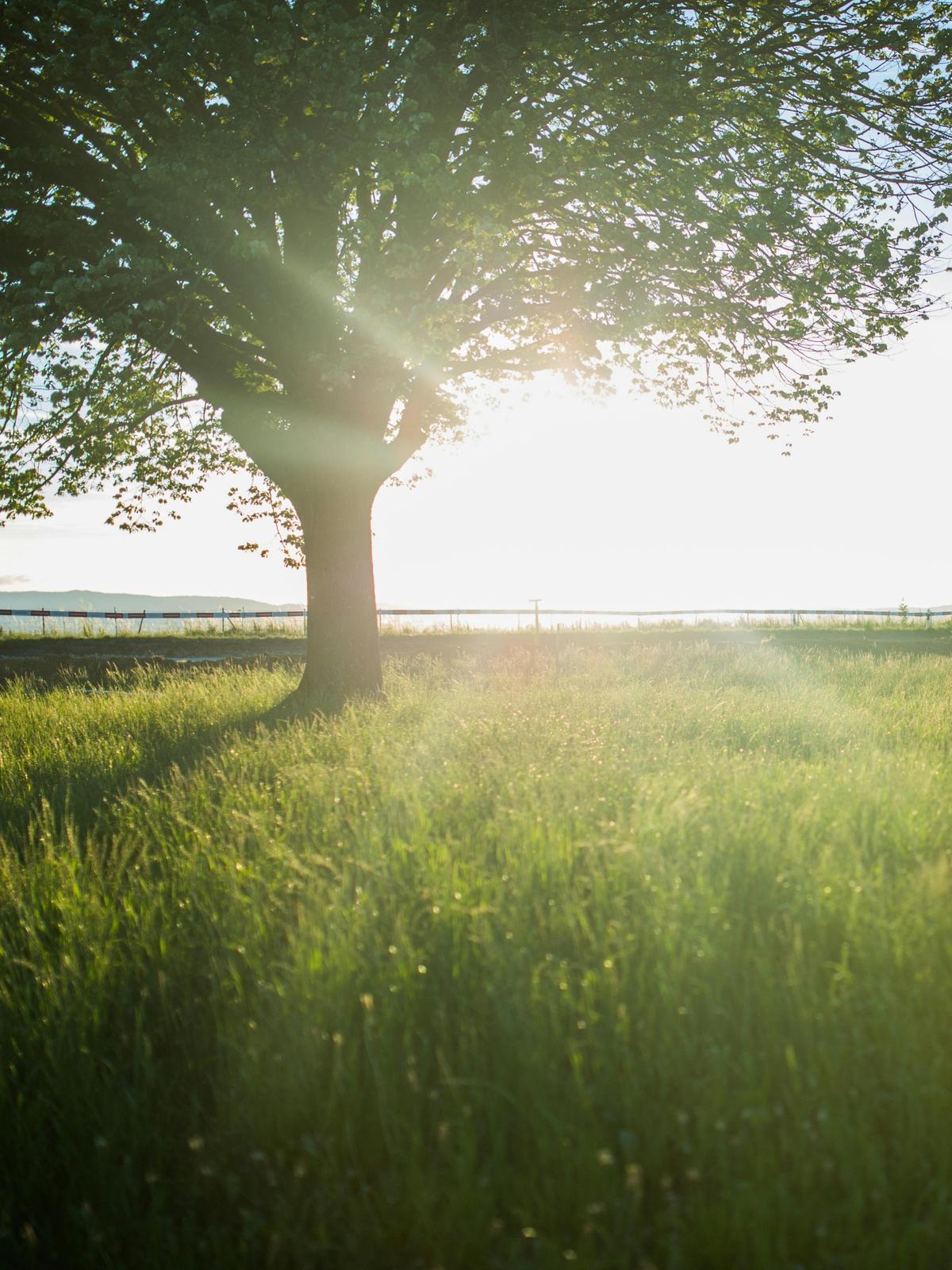 Background for 11 (11 January)