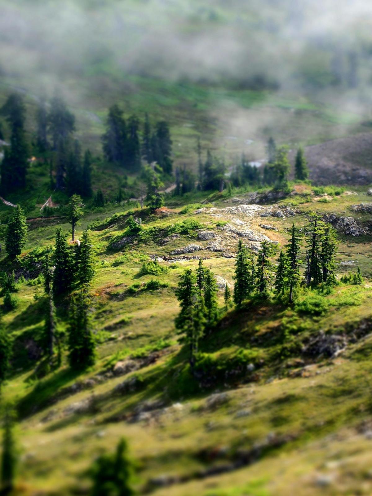 Background for 14 (14 January)