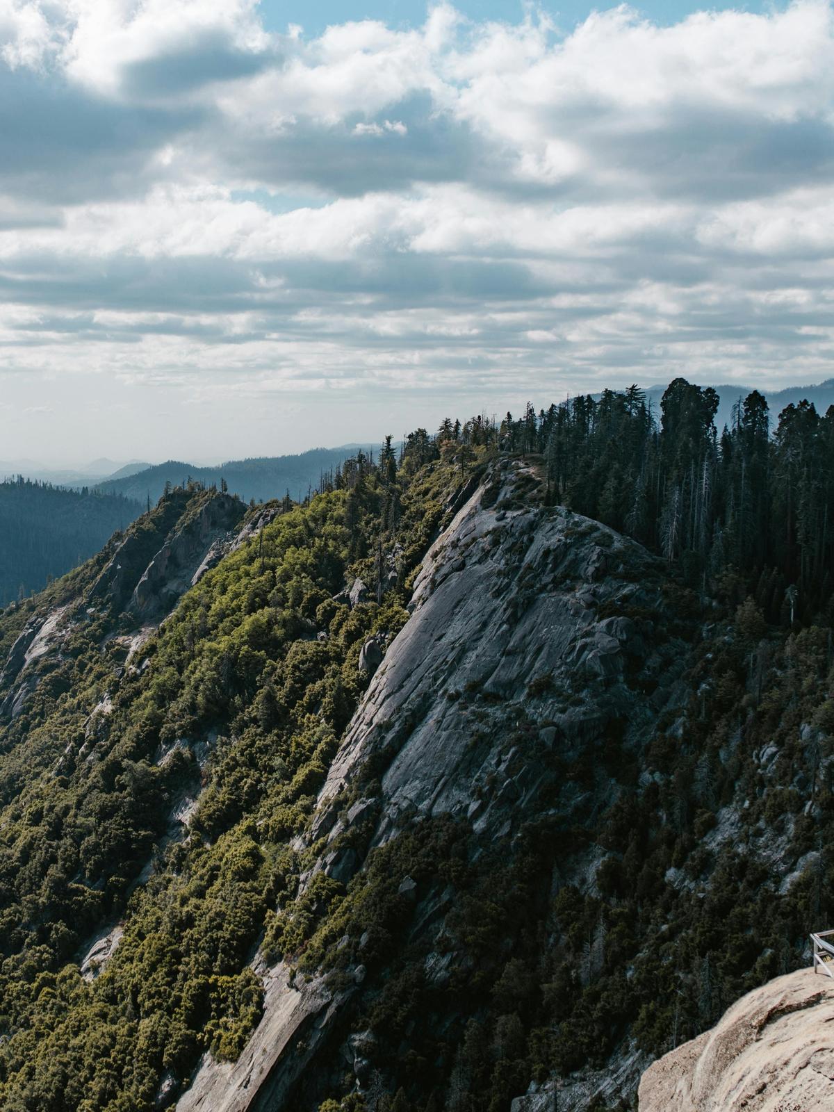 Background for 18 (18 January)