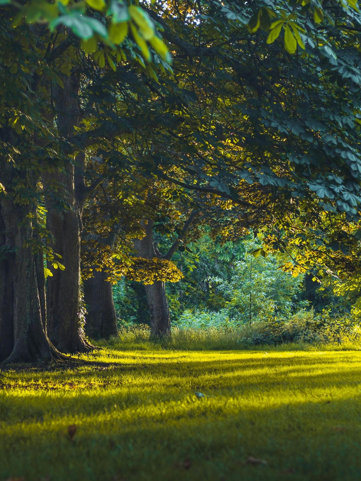 Background for 19 (19 January)