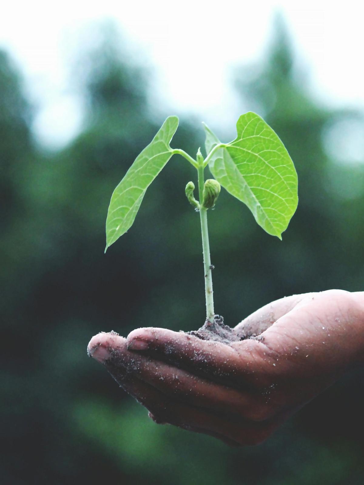 Background for 22 (22 January)