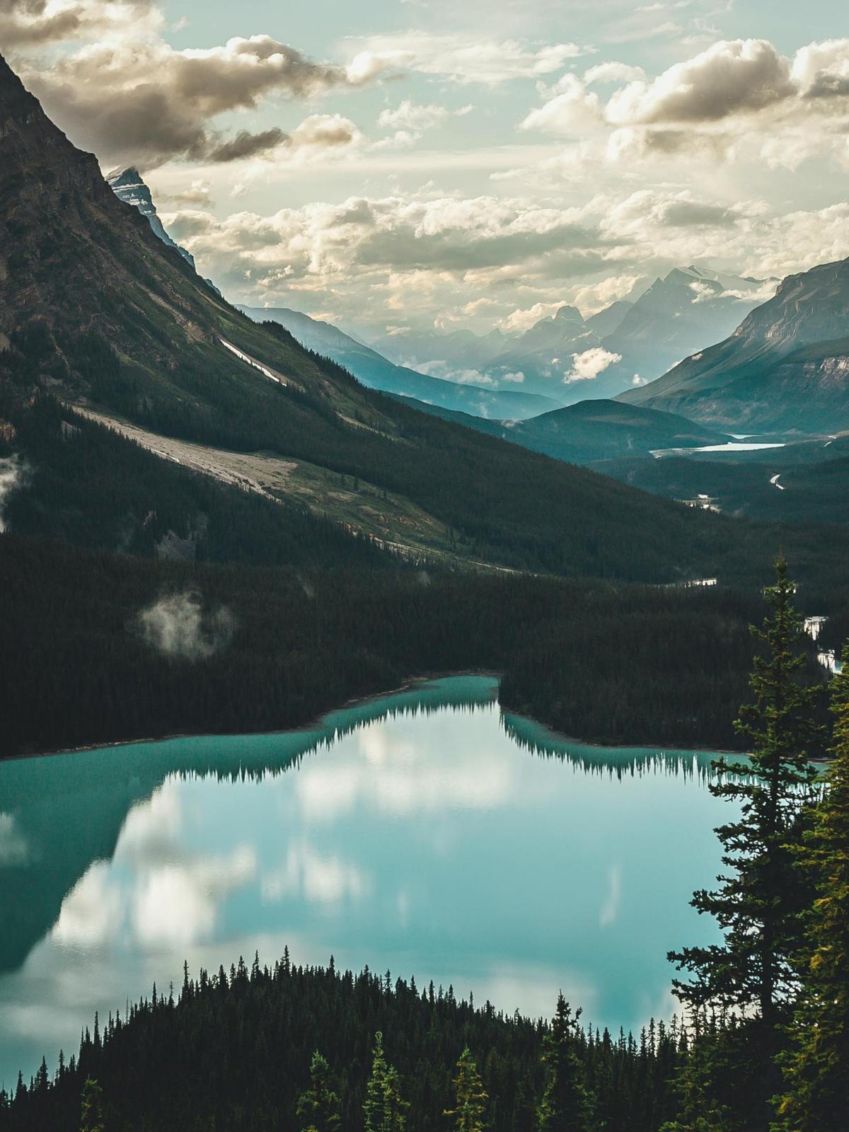 Background for 23 (23 January)