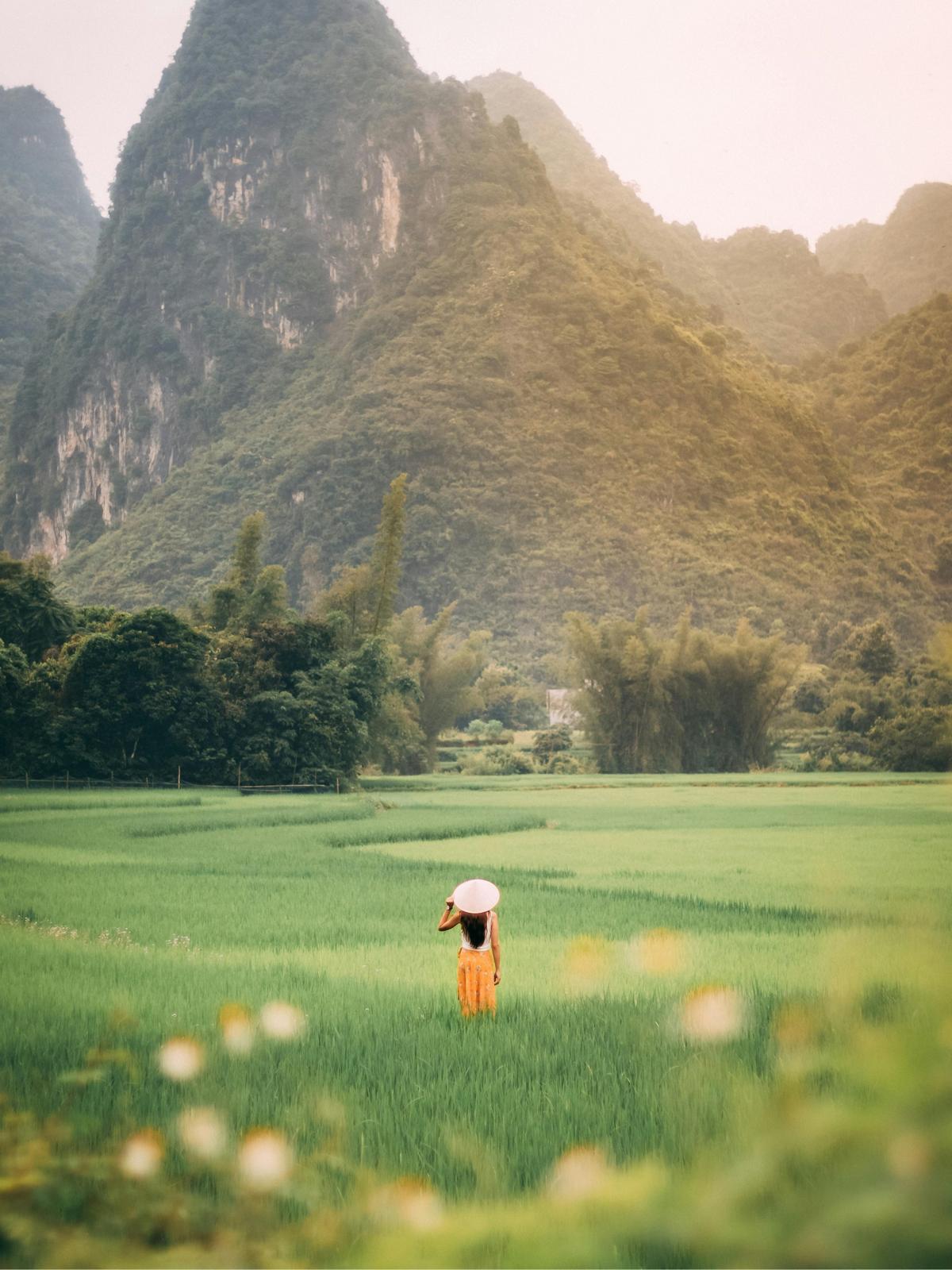 Background for 35 (4 February)