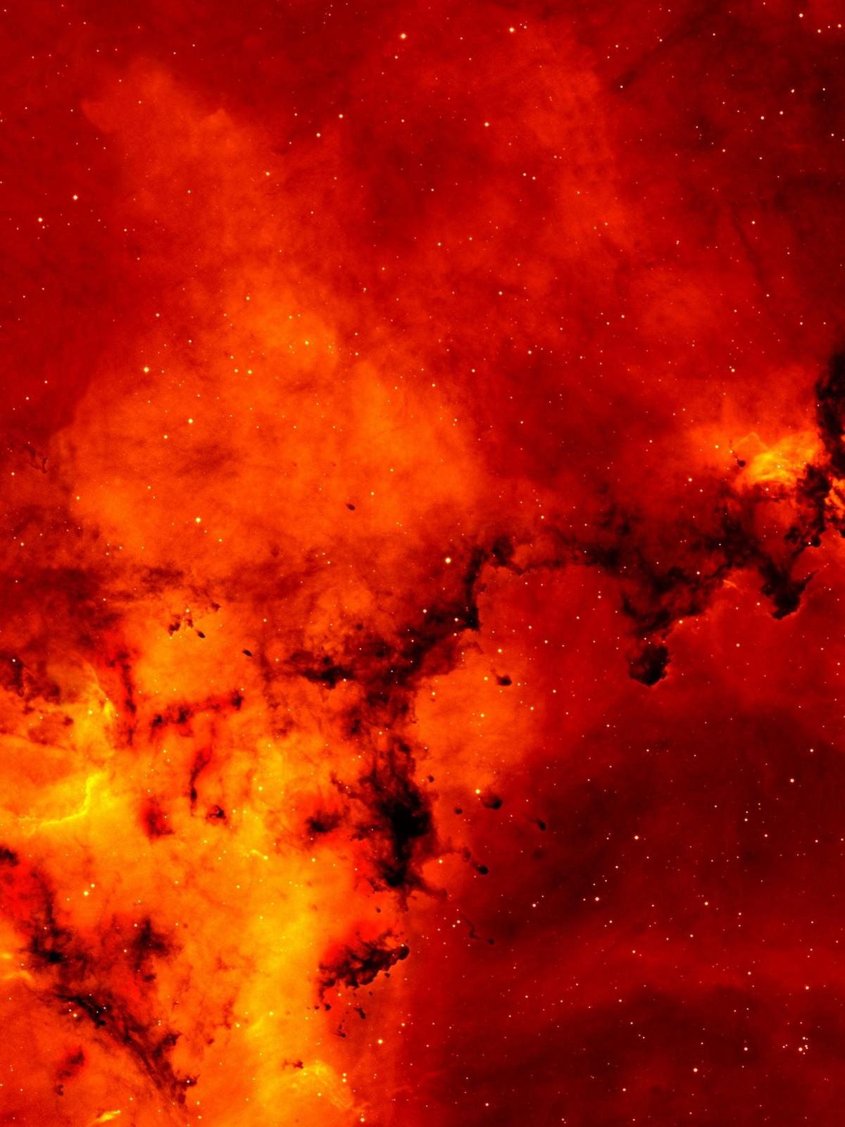 Background for 37 (6 February)