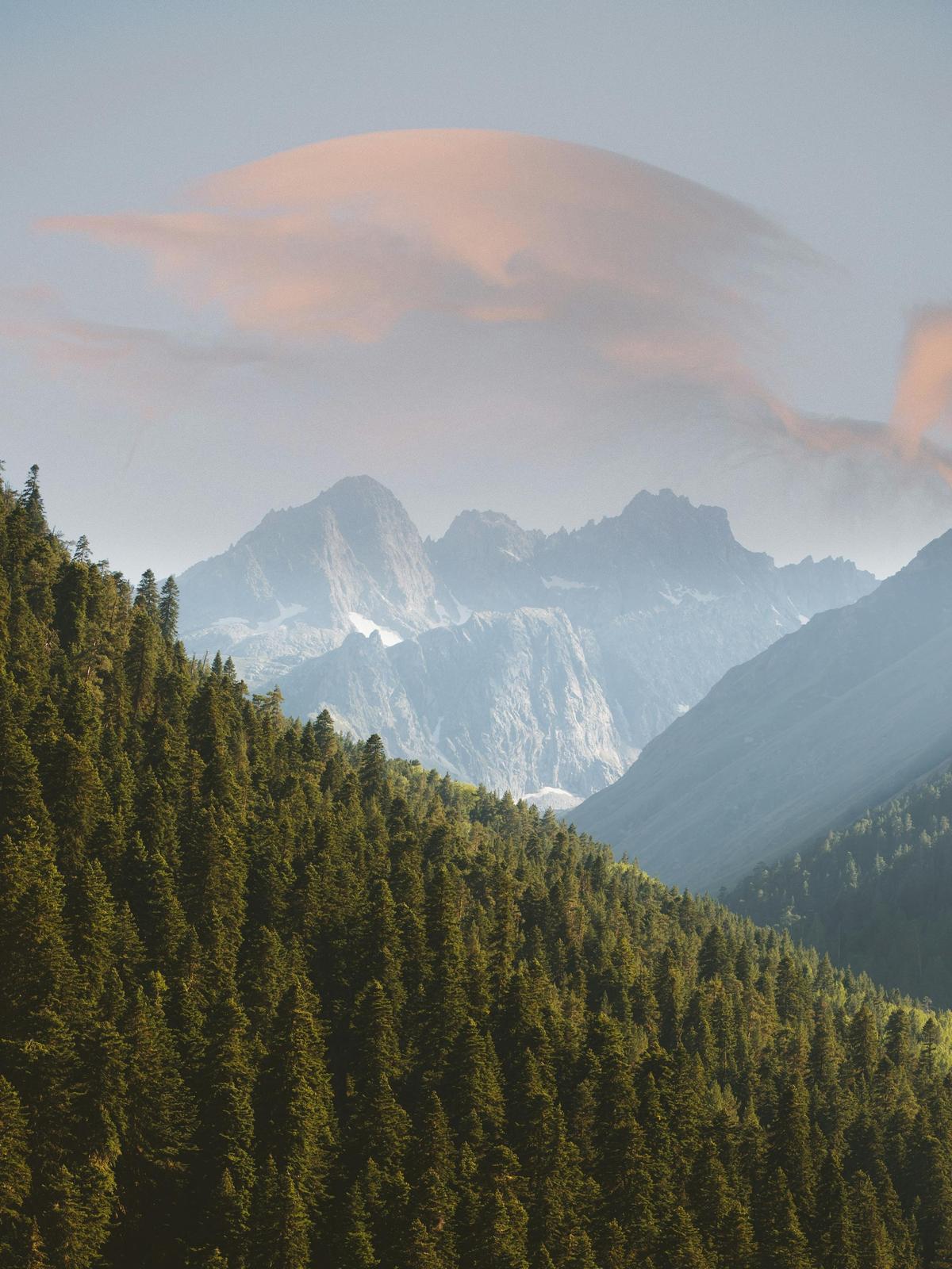 Background for 39 (8 February)