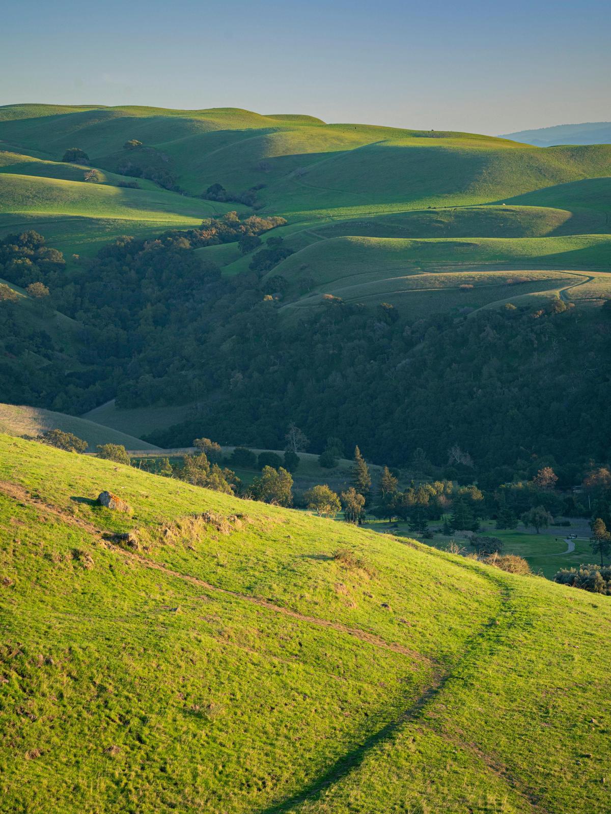 Background for 41 (10 February)