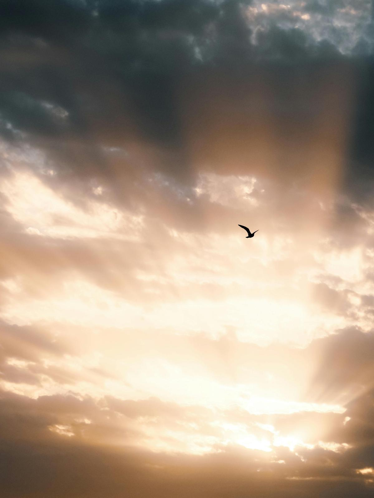 Background for 43 (12 February)