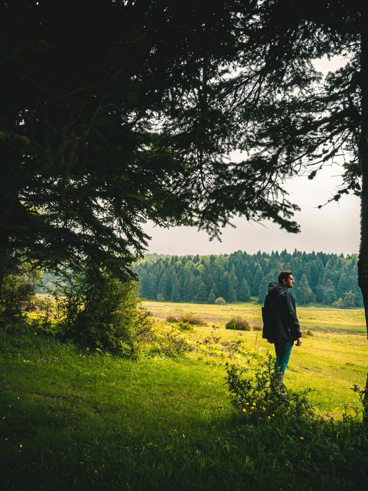 Background for 44 (13 February)