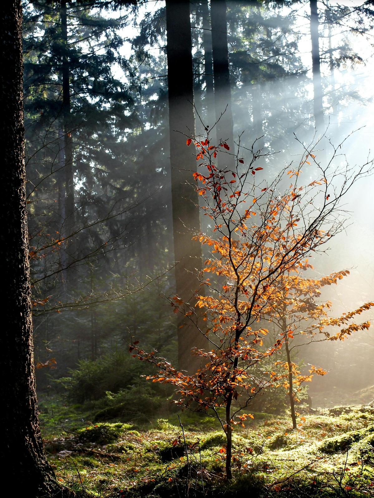 Background for 47 (16 February)