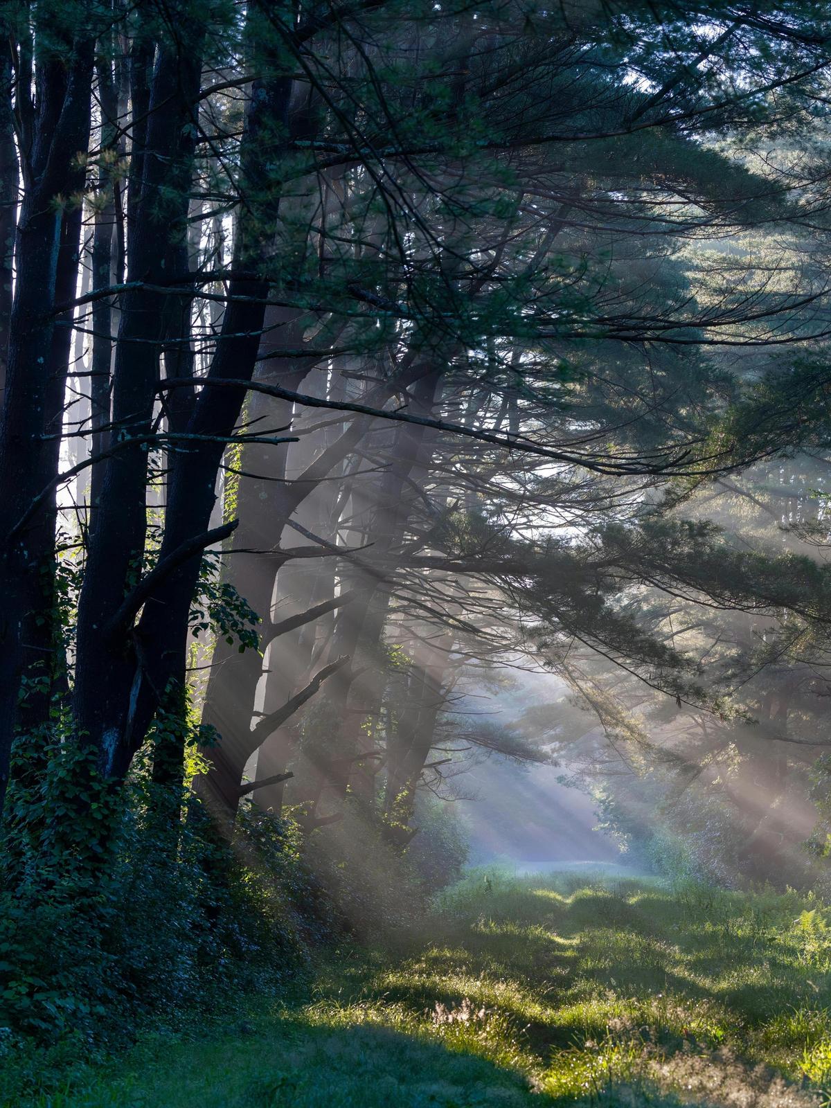 Background for 49 (18 February)