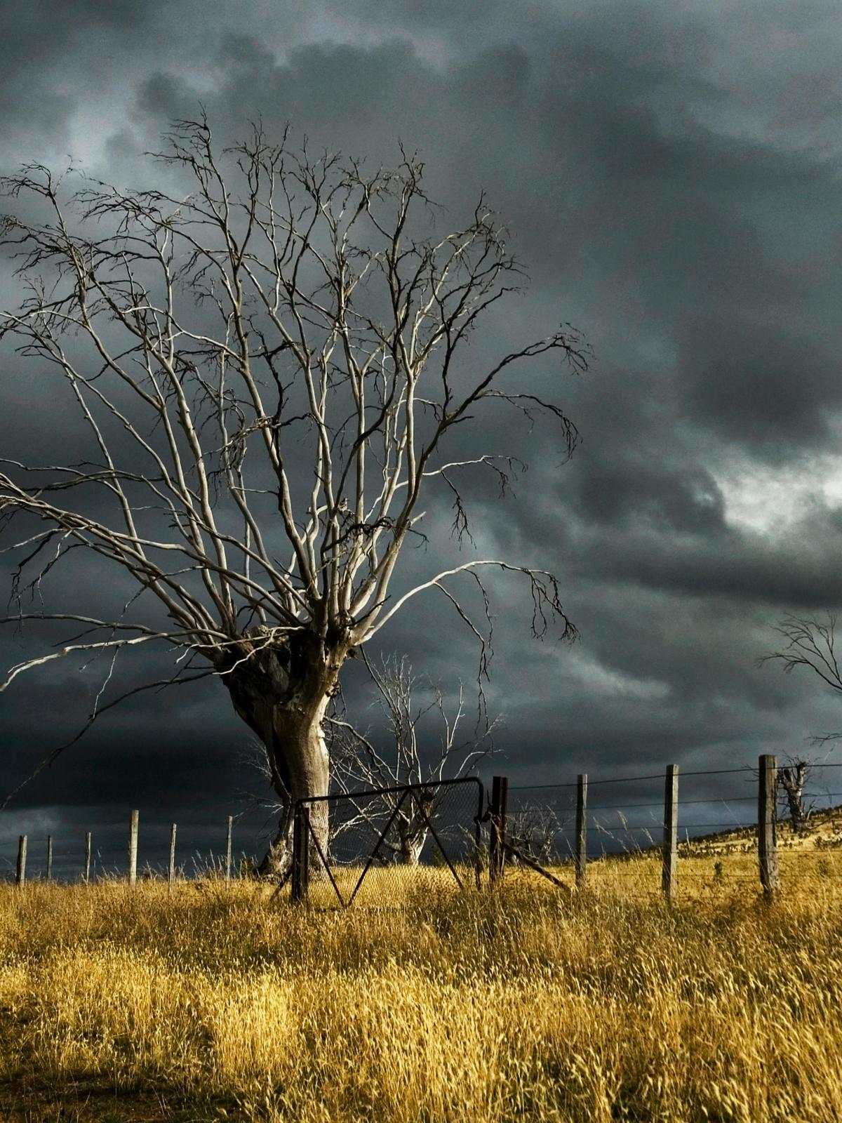 Background for 53 (22 February)