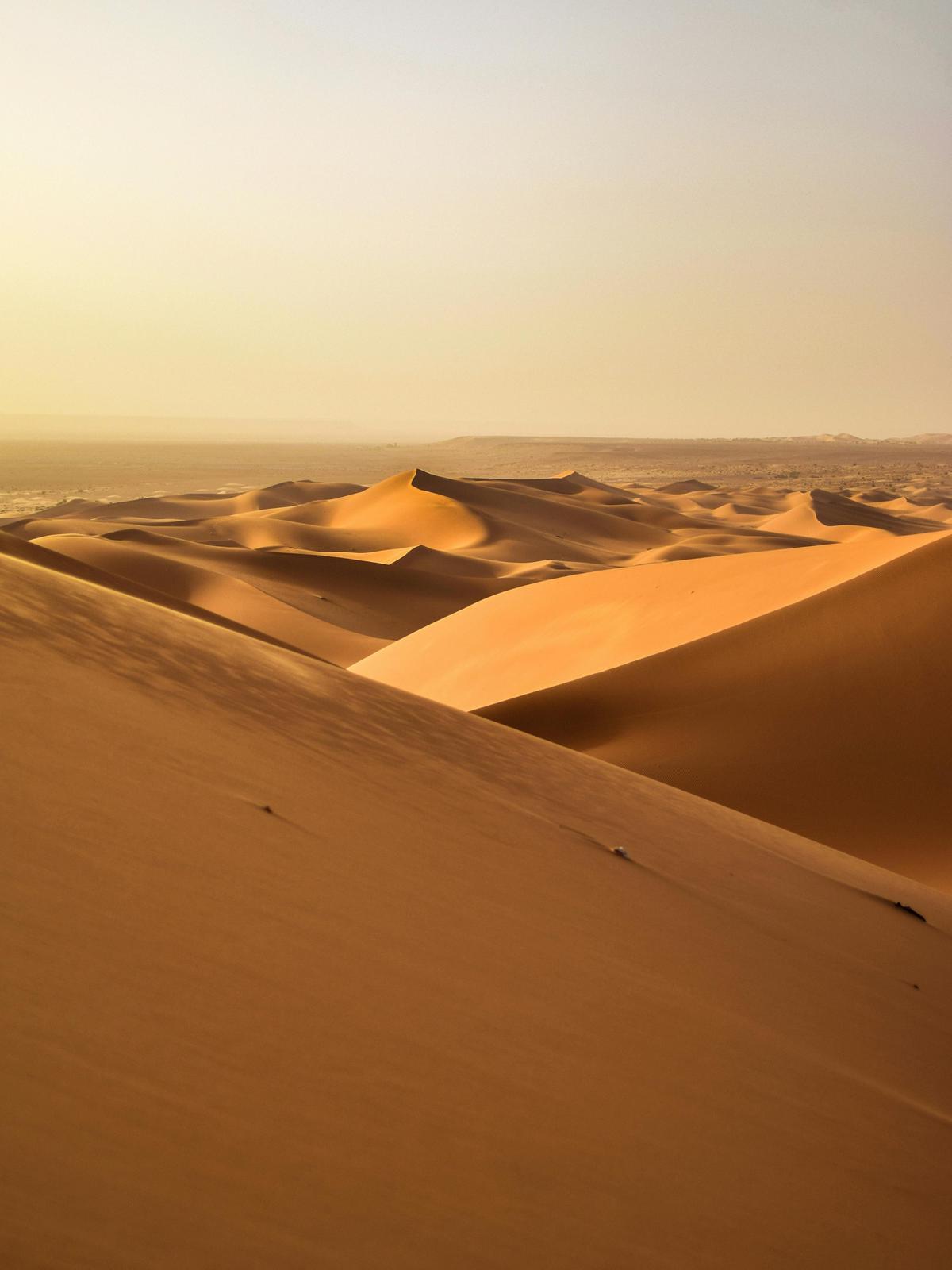 Background for 54 (23 February)