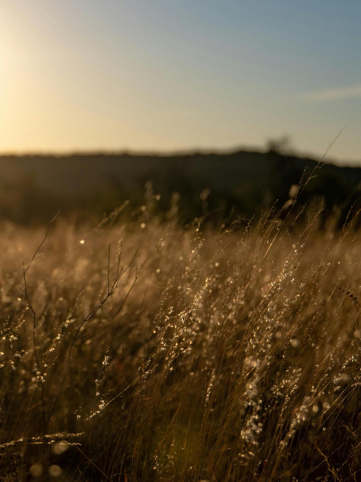 Background for 55 (24 February)