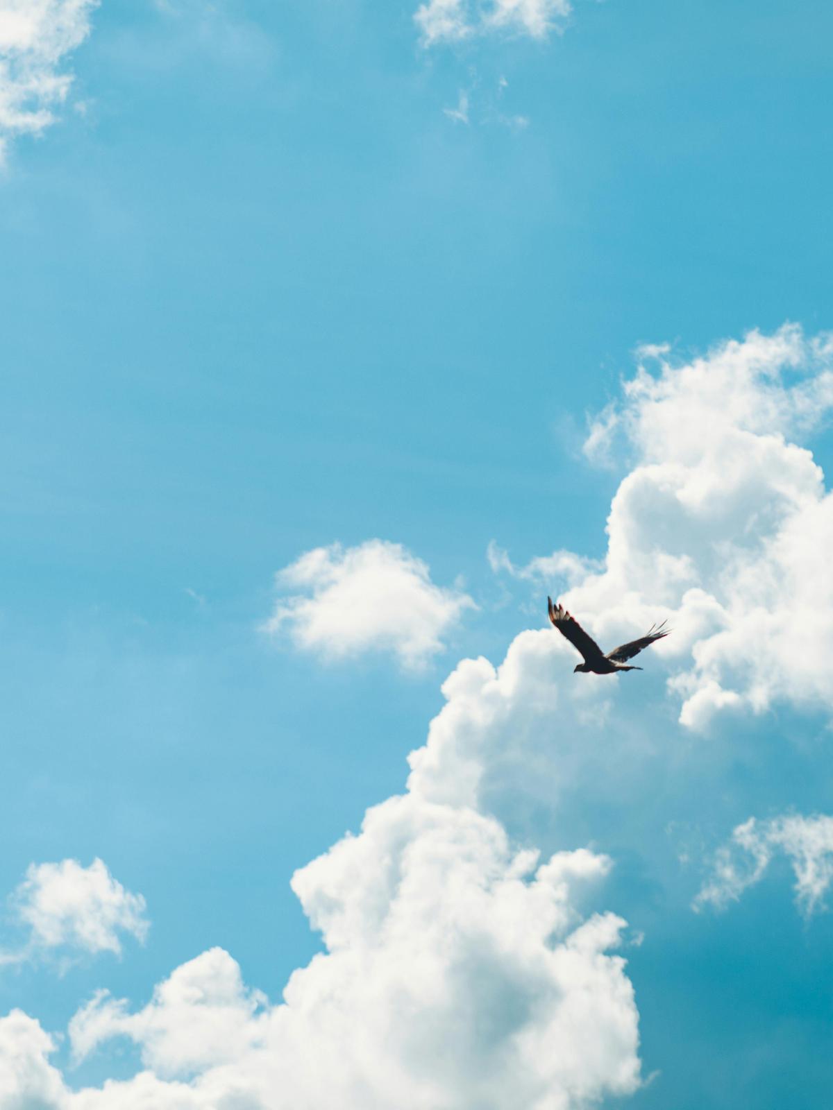 Background for 57 (26 February)