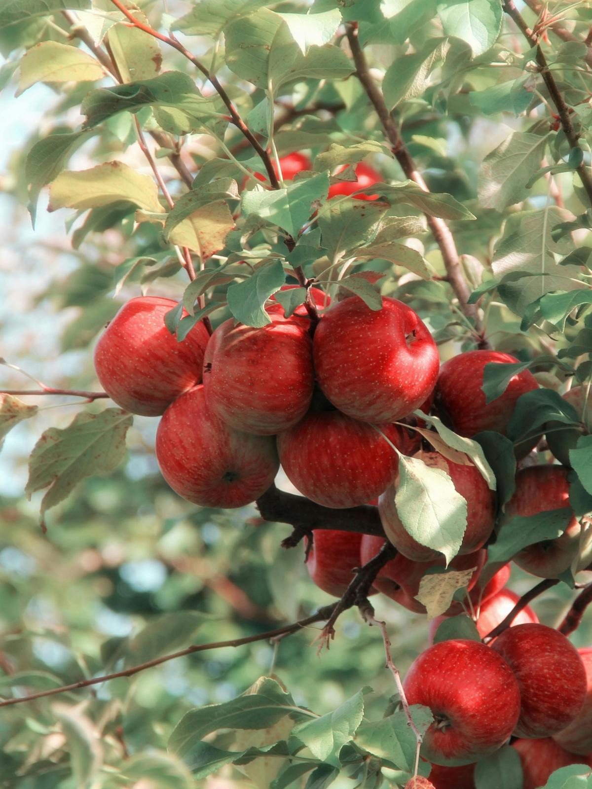 Background for 59 (28 February)